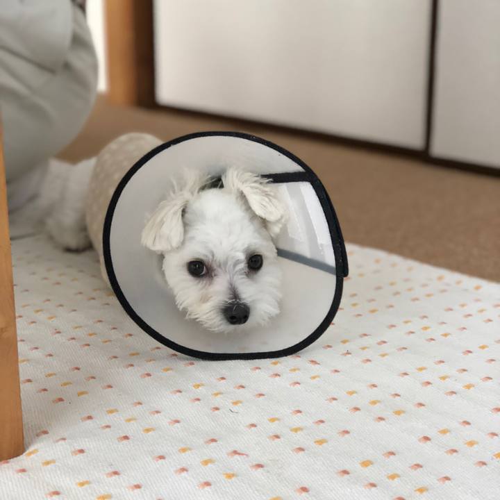 Dcd74915 6934 4097 a263 1c01b1710a22 1522392016263