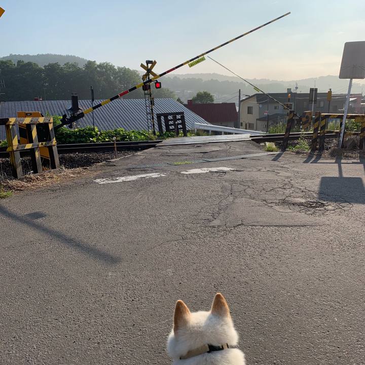 Dcd7569c b420 4671 973d 80f1ae85af7a 1561413785828