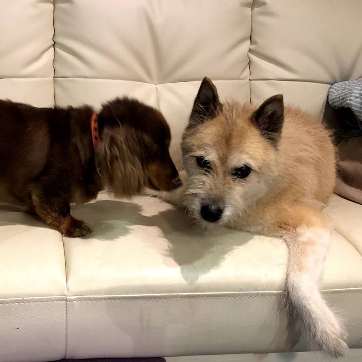 Dcd75ca6 45a2 4046 8d37 c3aeb31f7816 1565225413232