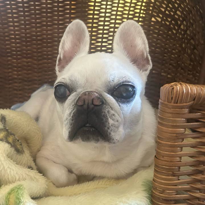 Dcd778b1 bacb 49a6 b377 56b6888d9d19 1772451273058