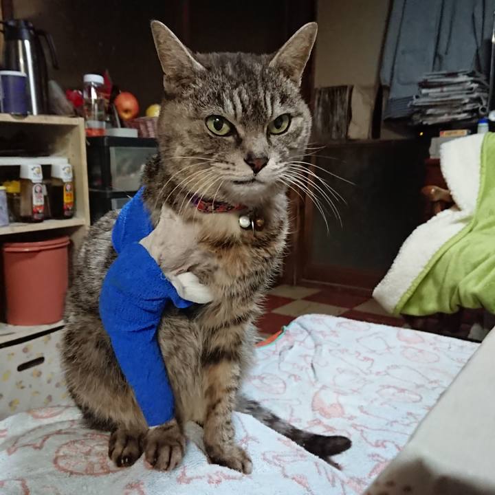 Dcd7ad4d f29b 4392 a688 2dcdf205dcf2 1586894838659