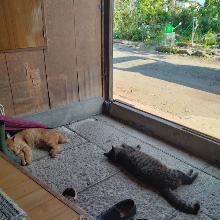 Dcd7b747 d858 4d37 9fda ed4503abbb7e 1755930840412