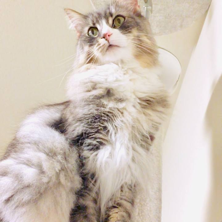 Dcd7d459 947a 4fd6 a9d7 e1c4e75db548 1558028201193