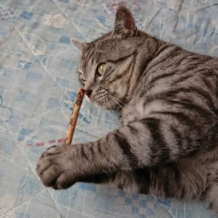 Dcd81b73 0527 4bcb bf11 2bd10dfadd75 1667984180266