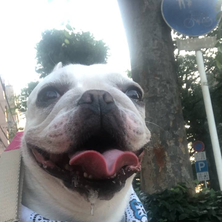 Dcd81d12 8619 4de3 a3ec 945c009c9791 1566001616106