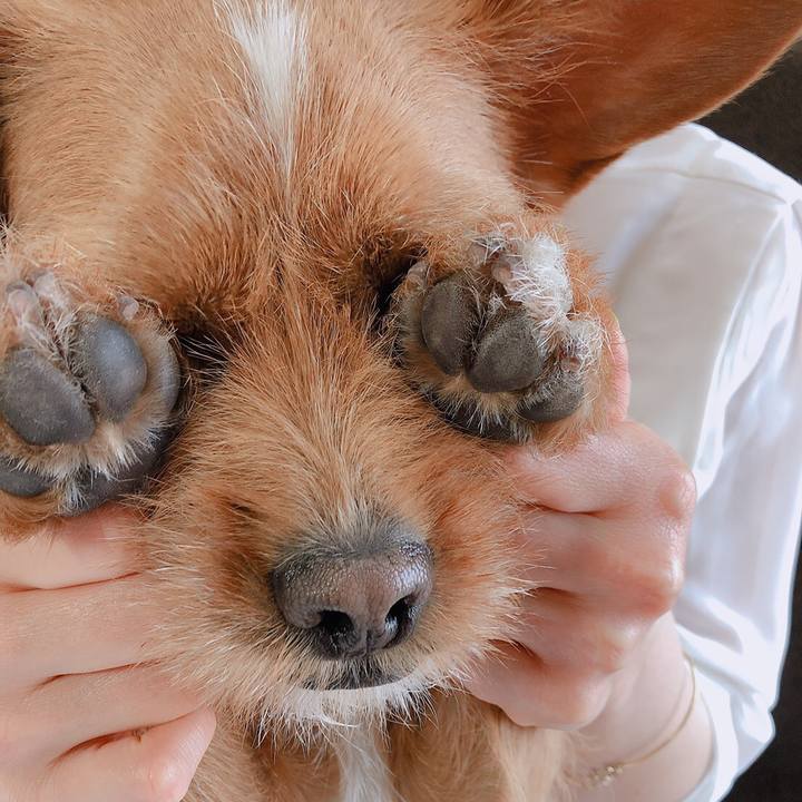 Dcd82bca 35e9 43f1 b756 dd9338bab683 1558694309533