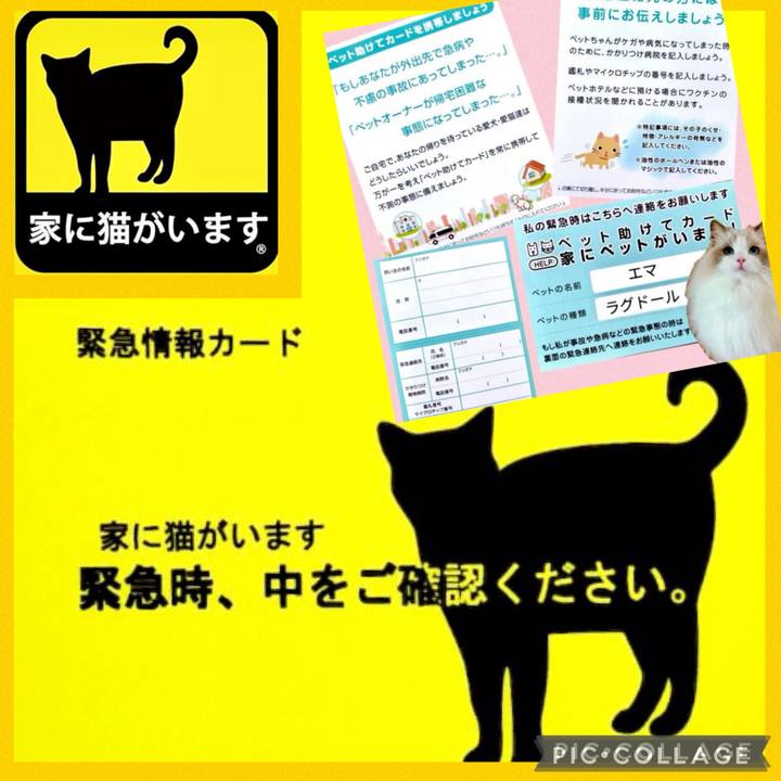 Dcd83a8b 964d 453c 8fba 938c82cbafaf 1726294228606