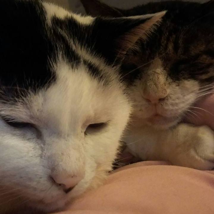 Dcd85d00 e96c 4b6b 9c9a 54c4129f642b 1542514477917