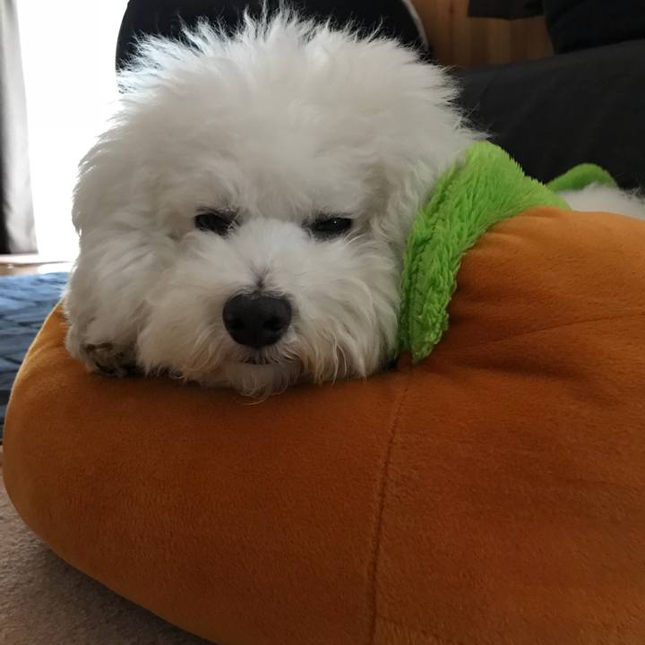 Dcd86355 042b 4564 94b4 d8e731b4e2cf 1527665854103