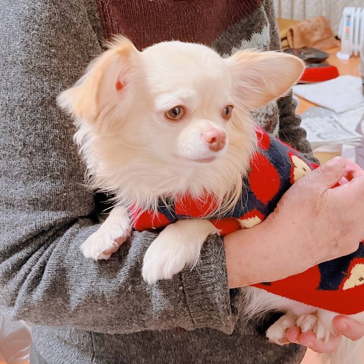 Dcd86833 5f07 4cd7 af84 ab9f633d849f 1673162864366