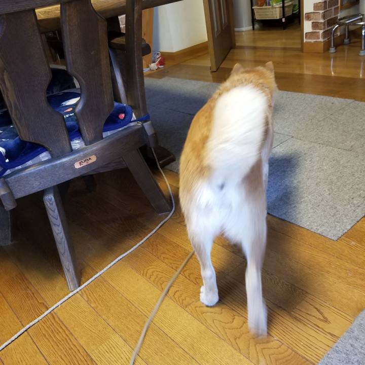 Dcd87d6a 7507 4d8d 8a8a 7fb5c68fdb8a 1613366841919