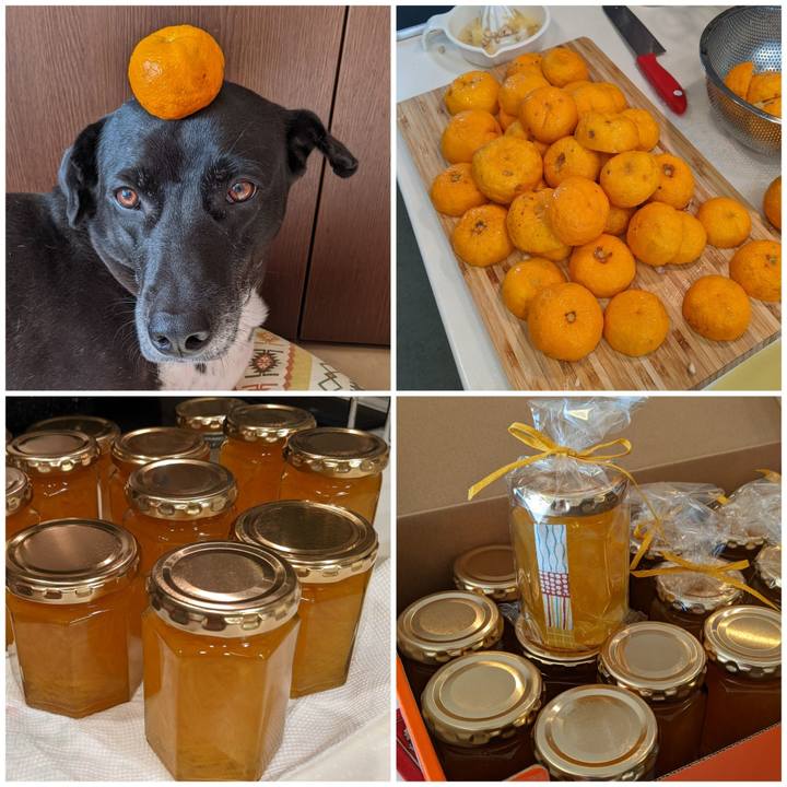 Dcd897cb a60a 4c87 858f 3a5a93fa6473 1671447856712