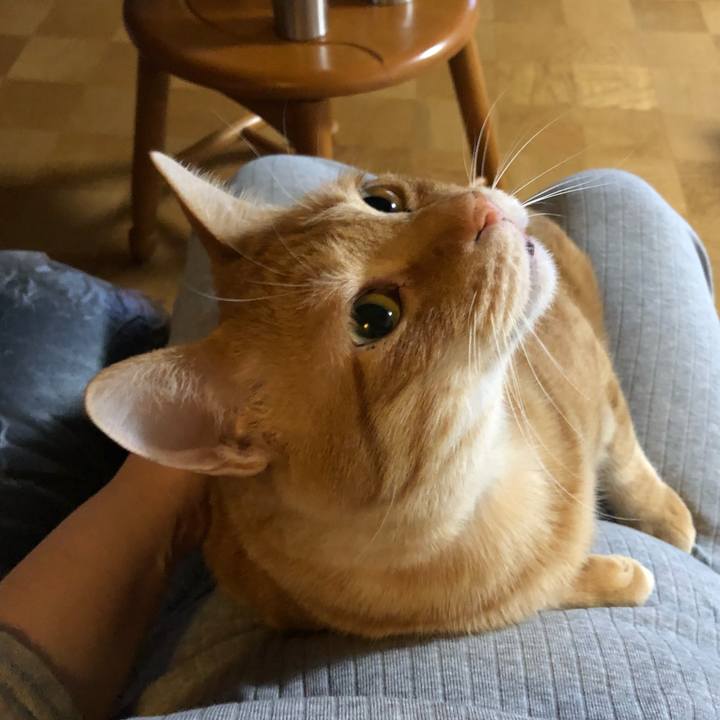 Dcd8cfbe fd1d 4406 ac5d 53410a398b5c 1583749692212