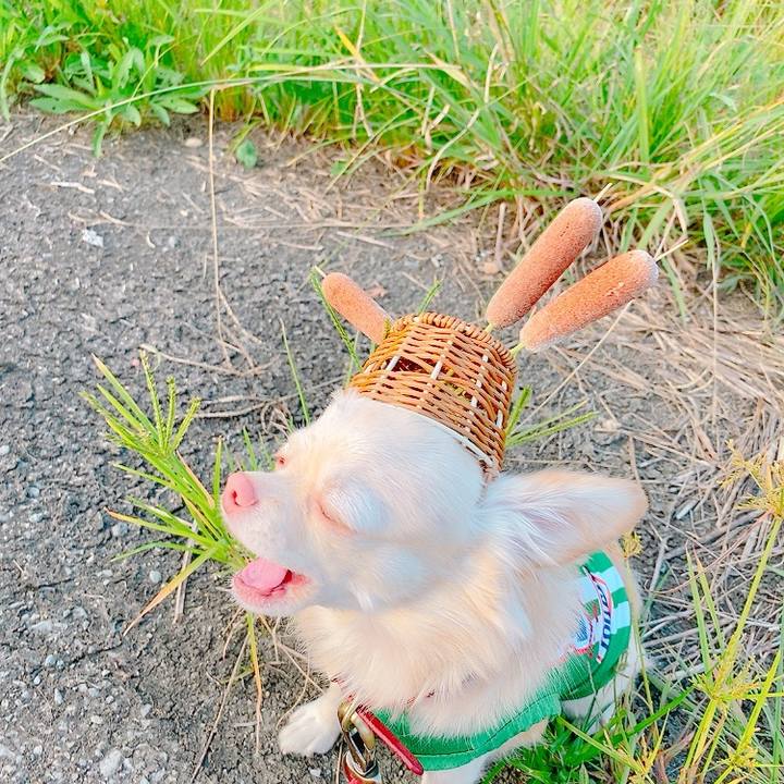 Dcd8d993 9dbf 4778 b5e5 47eff758ca6a 1633874405745