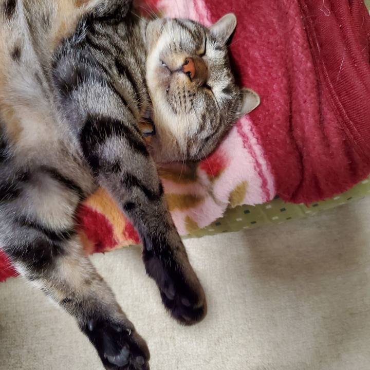 Dcd8f568 a13c 492a 8860 1abd377eb561 1698676880312