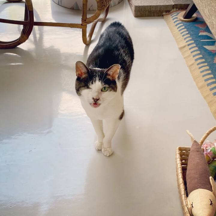 Dcd908f7 0d12 473e bcf2 e04a338584d1 1622540718054