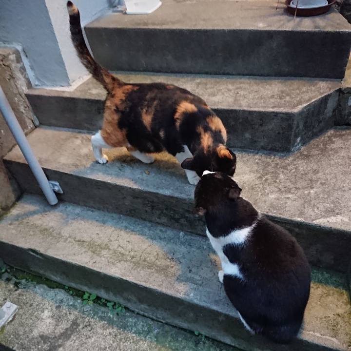 Dcd920fd c7c1 438f b7eb 4abb6a654067 1667462659010