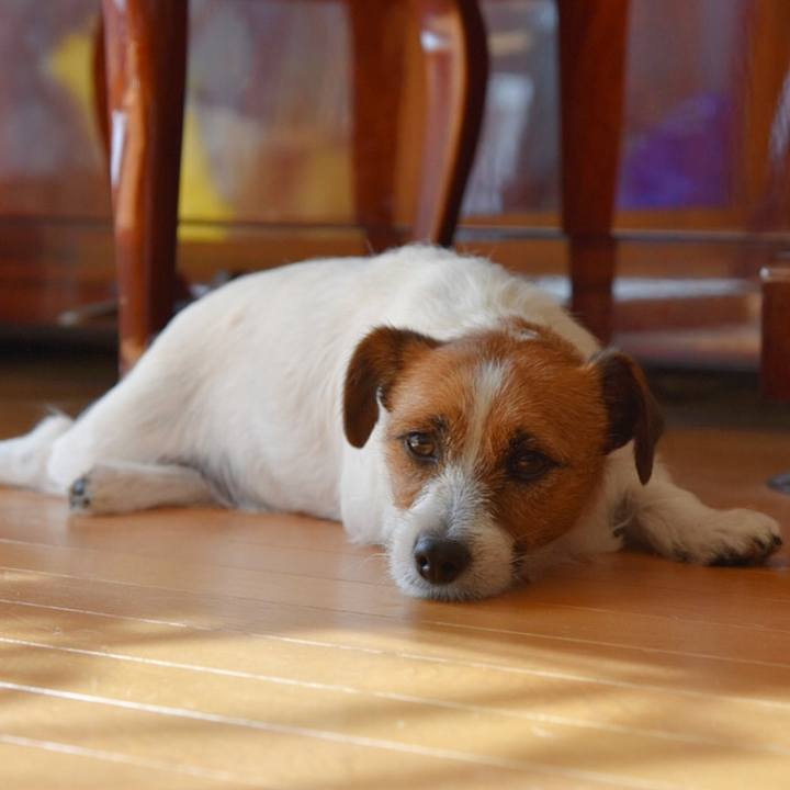 Dcd924a3 a7bb 45b1 bab3 76037c2ebd25 1509016321561