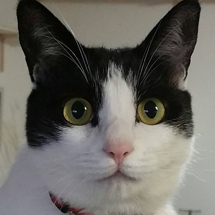 Dcd944a6 06cd 48fd aeaa 75d256607db4 1539403277338