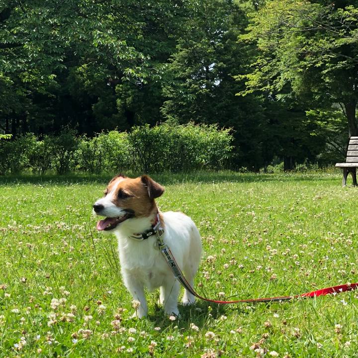 Dcd96539 1e8c 482a 9c1c 8982f92a3bd9 1526476874234