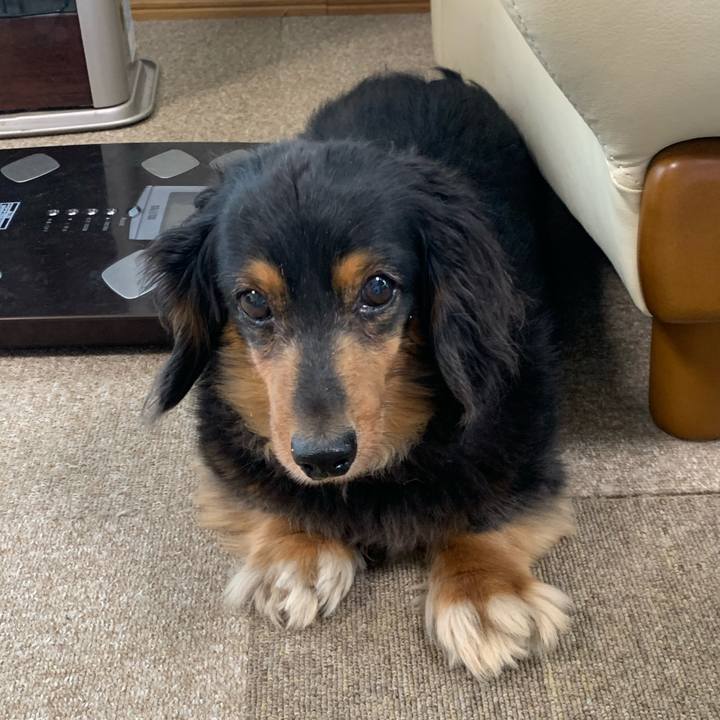 Dcd9e5ec e8c3 42ec bbbd 67f45d46d4c0 1591825839092