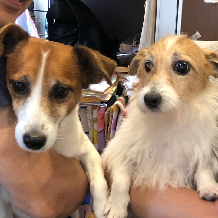 Dcd9efda 1286 4be0 a8ac 648f9ac1f259 1594105644612