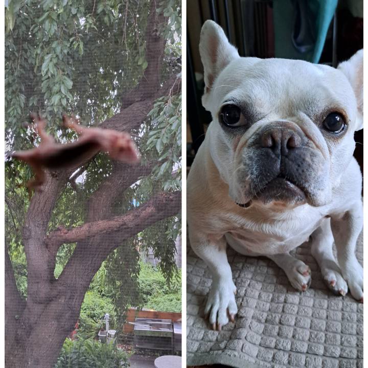 Dcd9f839 0947 49d9 8c26 6b86dd1195b6 1719873989958