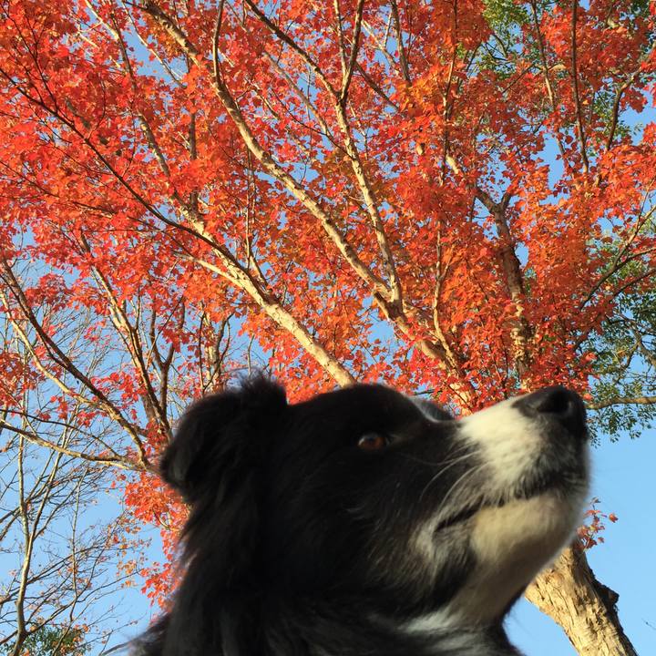 Dcd9fbb4 ffd5 45ce ac6b 66eba53975b1 1543536657752