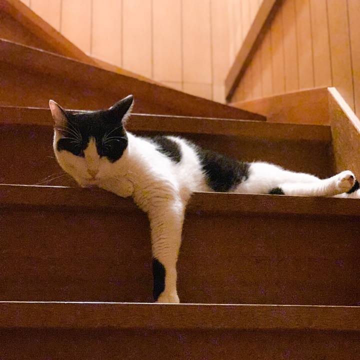 Dcda27e5 7969 4648 9c8f 10beaf1fc6bb 1569982148726