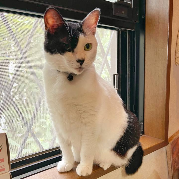 Dcda6a43 715d 4440 8148 5fc996617f68 1754953323179