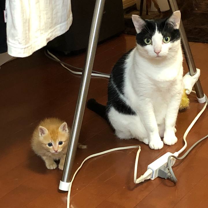 Dcda70c8 2e25 4b6c b3e2 afee2de6f145 1560505723418