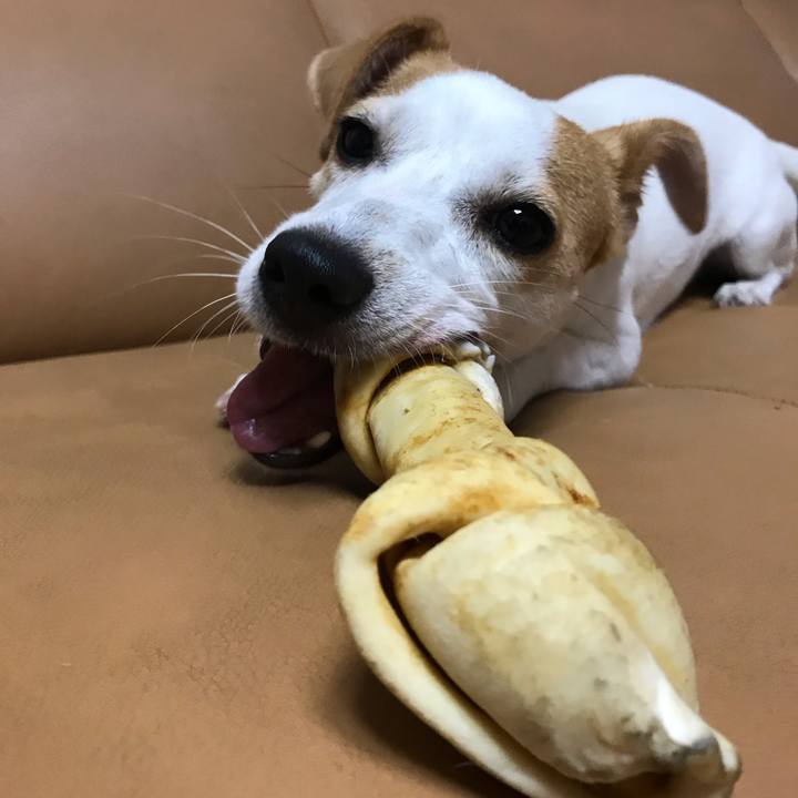 Dcda7f3a 2aaa 49c9 af94 aef87b5a1272 1566476372745