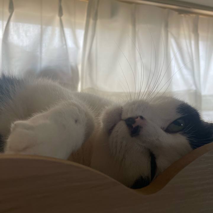 Dcdaeb2a 1276 43b8 8e91 51132daf73fb 1712069439943