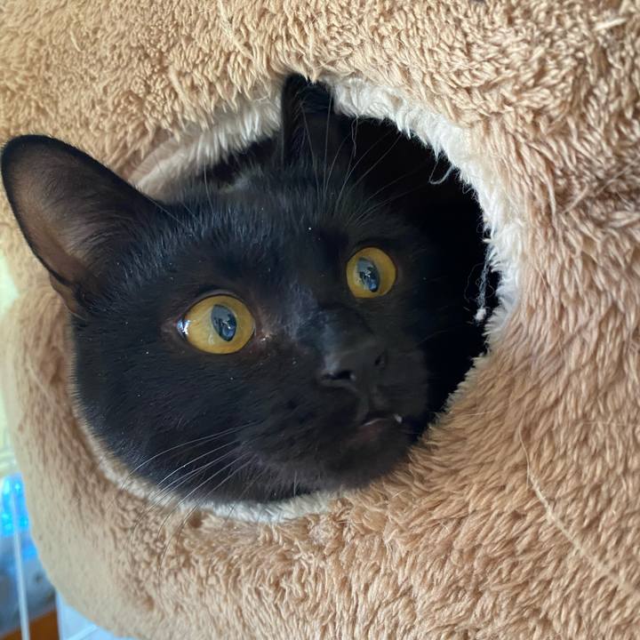 Dcdb200d ead1 4935 96c6 033703e6227b 1739417360881