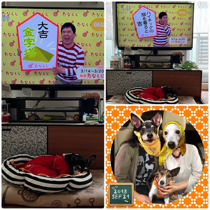 Dcdb2258 0af0 4edd 86b4 d79ccde2f625 1647210157881