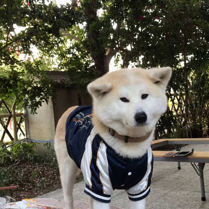 Dcdb2f1e 670c 4f53 858d 9a1f3543ca14 1549896795877