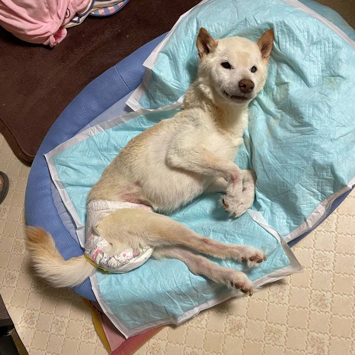 Dcdb5f57 5ed2 4054 b1b9 2acbf936c375 1679667429507