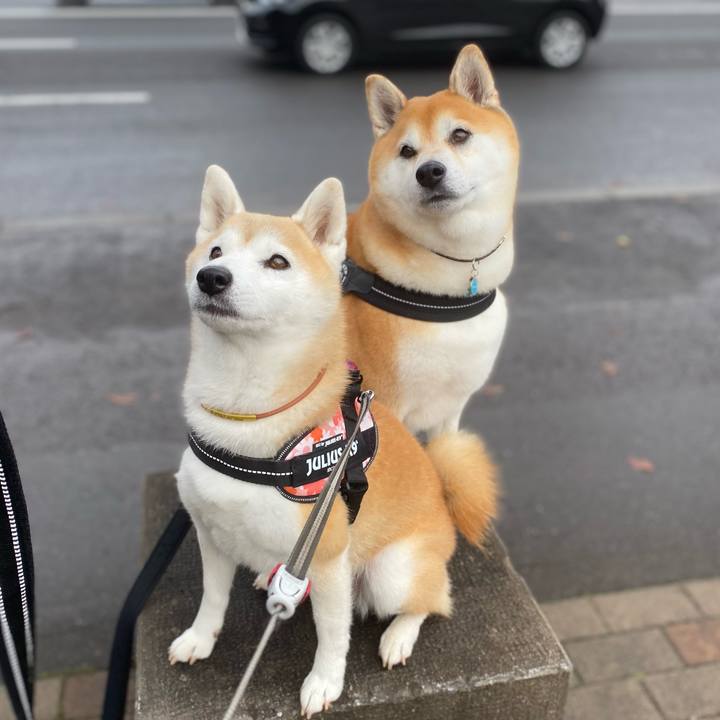 Dcdb700d 2bc5 4d82 9fa2 3bce8121ac41 1730512039584