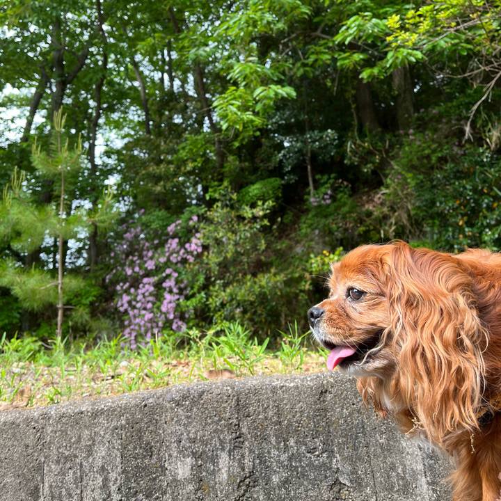 Dcdba457 5adf 4708 8e47 339144f7c07a 1714351180857