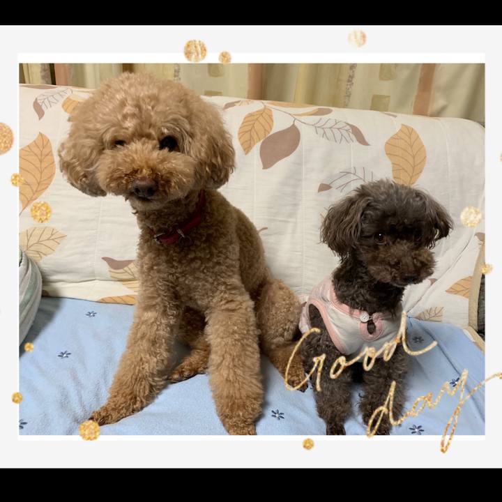 Dcdbdab1 a4a4 41bf 9793 bcfd3dfbca26 1561548683262