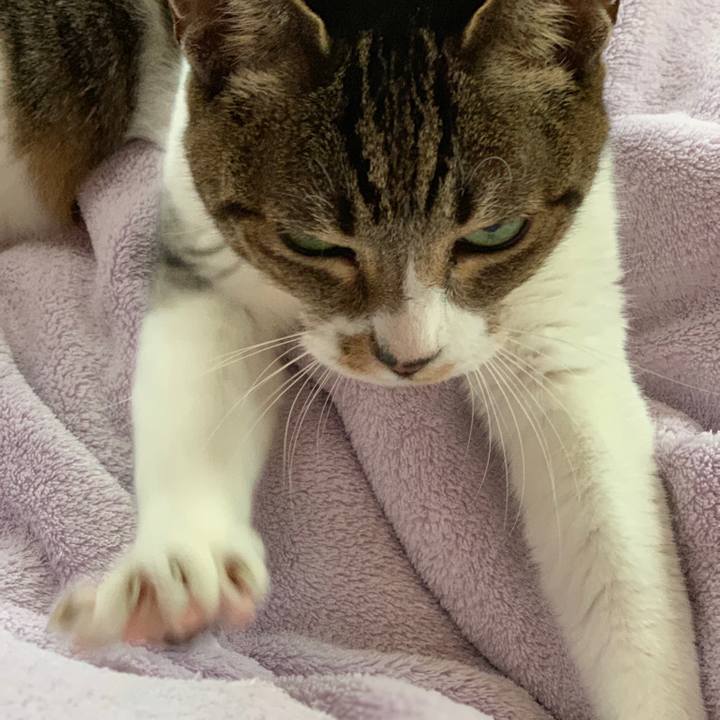 Dcdbe794 7aea 4de5 923b 2e97ec39c40e 1544924634375