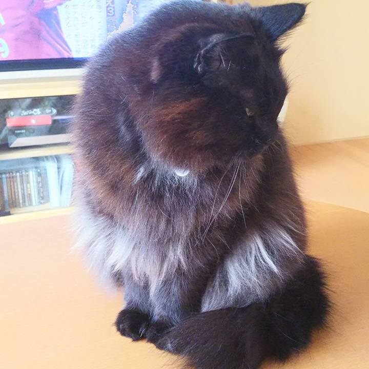 Dcdbf637 34f0 459c bcc3 1468c6800563 1522277383567