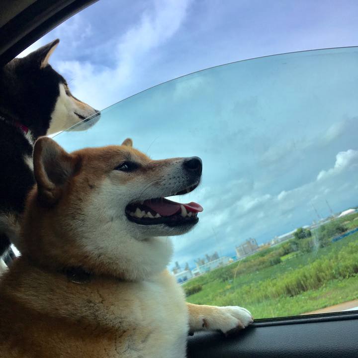 Dcdbf6c9 80a4 41bb ae6b 2f65644ce573 1563101950286