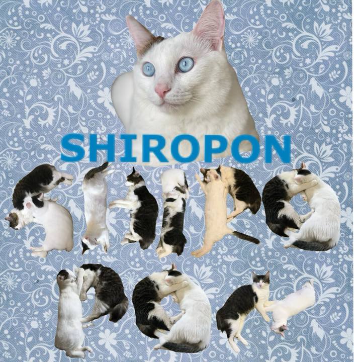 Dcdbfab9 44fa 49ea 9b1f 2ca87ba65d6d 1667560436068