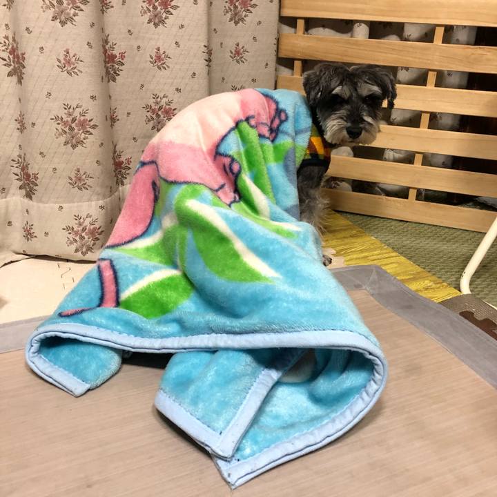 Dcdc0944 3db7 4f5e a8b0 7f460a9d3854 1643291474902