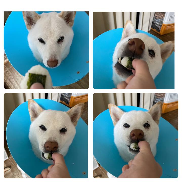 Dcdc3949 627f 4b93 b9ea 25f3500ebf9d 1615806417473