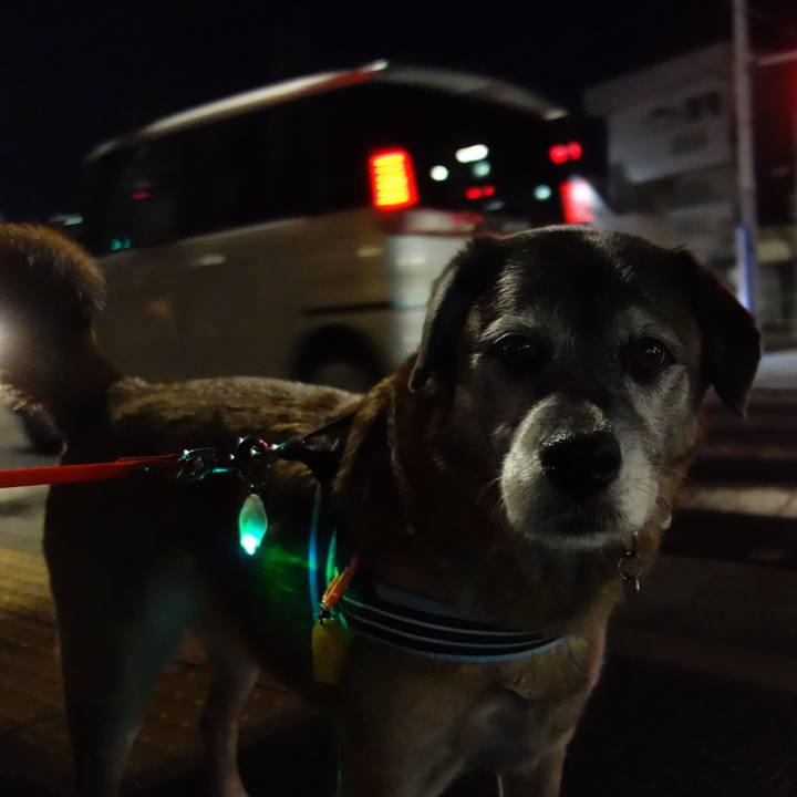 Dcdc60dc f79d 4d6c 8a1e a36c0096ca75 1549105414200