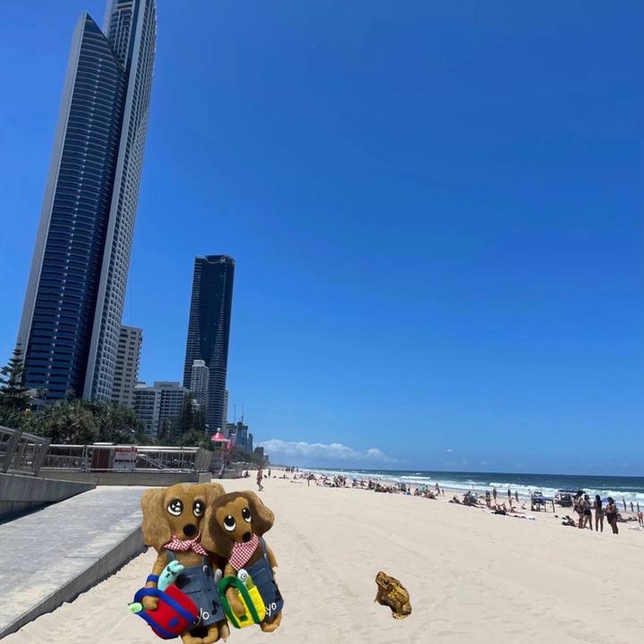 Dcdc9c8b 9978 4ce8 962c 5fe019e9bc30 1733789285108