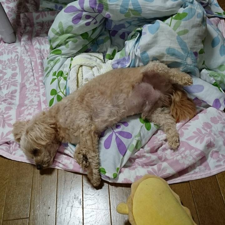 Dcdca9a8 5beb 4958 b8db c25d143702be 1593675726285