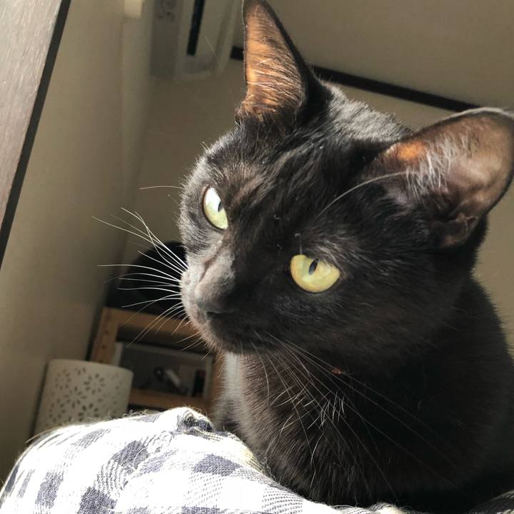 Dcdcd214 a219 4a76 8d03 51390b312492 1539344685824